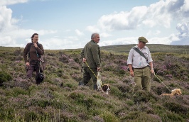 Lakeland Gundog Club