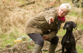 Lakeland Gundog Club