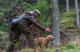 Lakeland Gundog Club