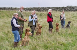 Lakeland Gundog Club