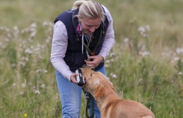 Lakeland Gundog Club
