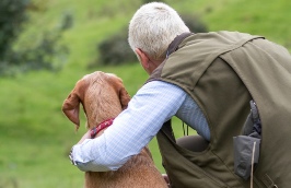 Lakeland Gundog Club